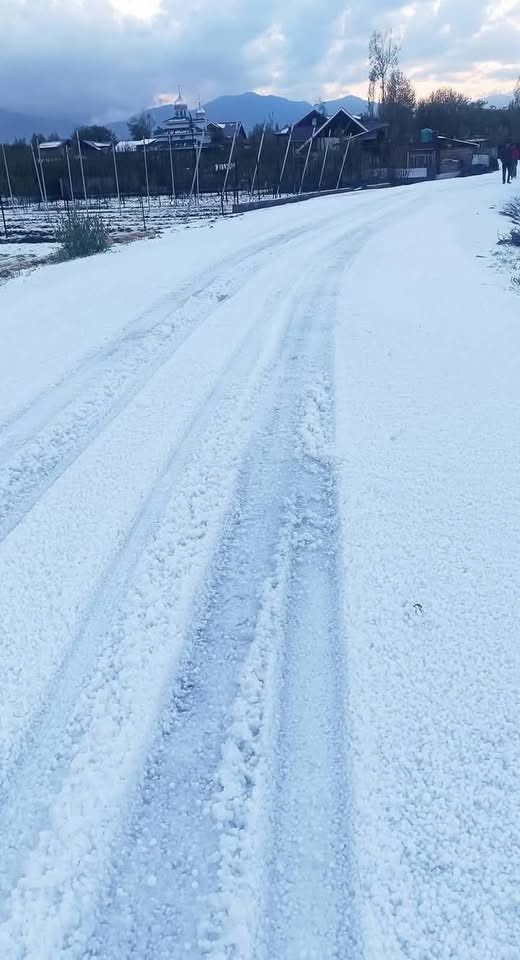 GHMir_'s tweet photo. Hail storm has created havoc in many areas of Teh Tangmarg, Teh kunzer , Teh Kwarhama and Teh pattan .Govt’s attention is invited to have joint survey of Revenue and Horticulure Dept to assess loss. https://t.co/1d5S3Ut3Me