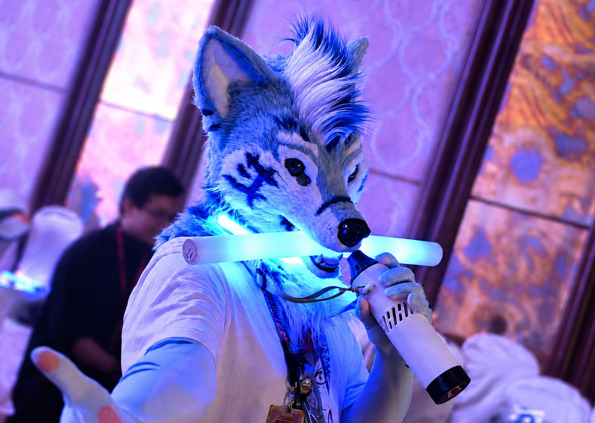 tokiroaoki's tweet photo. 跟我走吧，把手给我。
Come with me, take my hand.

📸 @FluffyFuri https://t.co/s7J7GExp0L