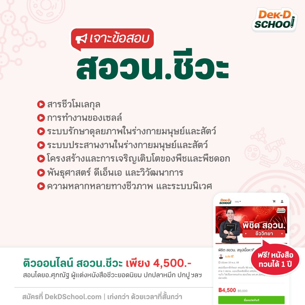 Dek-D School คอร์สออนไลน์จากเด็กดี tweet media