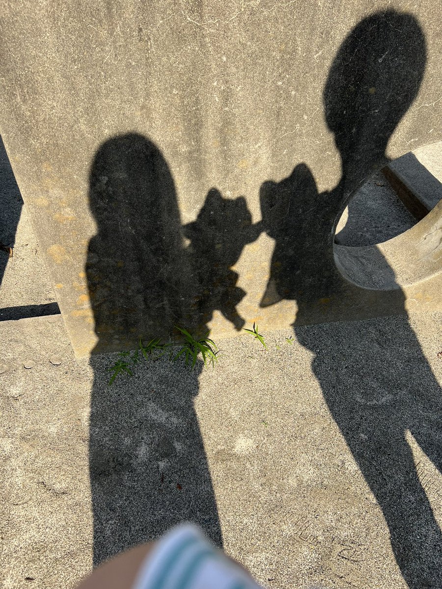 ちゃい☺︎2y twin+1y tweet media