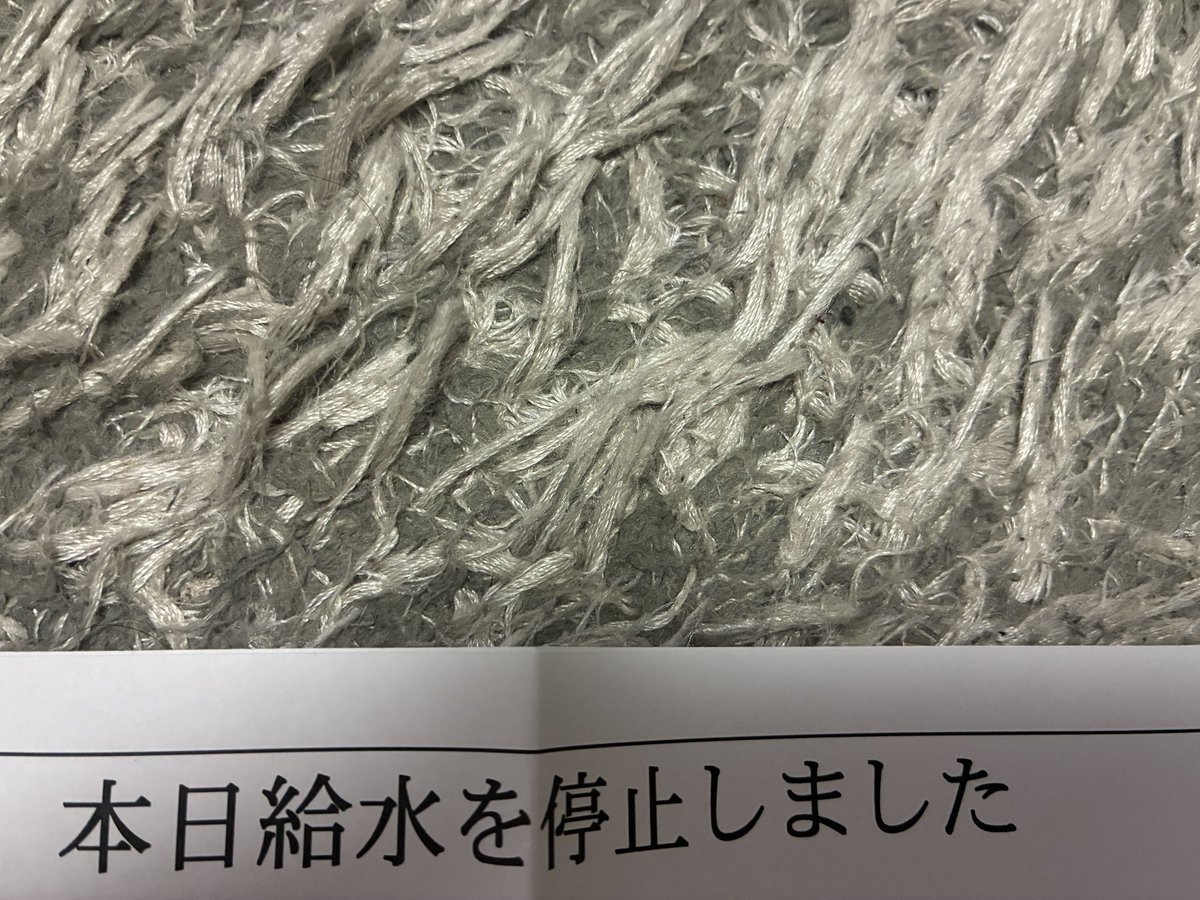 じ tweet media
