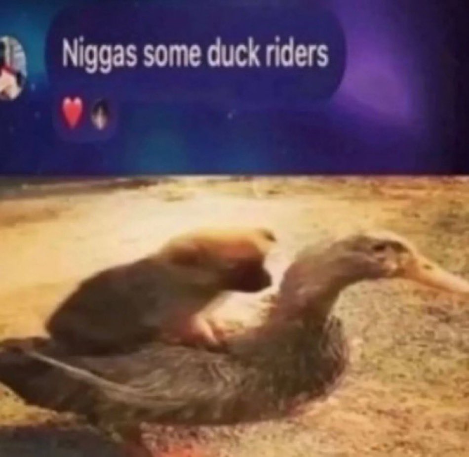 NK69 tweet media