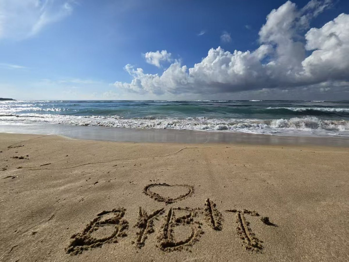 Kk｜Bybit🦋 tweet media