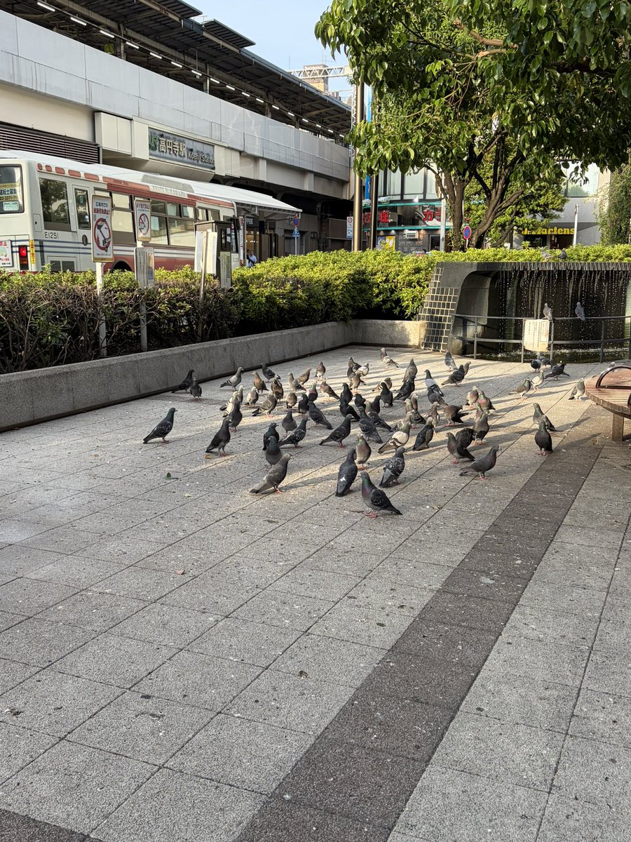 のうじょうりえ tweet media