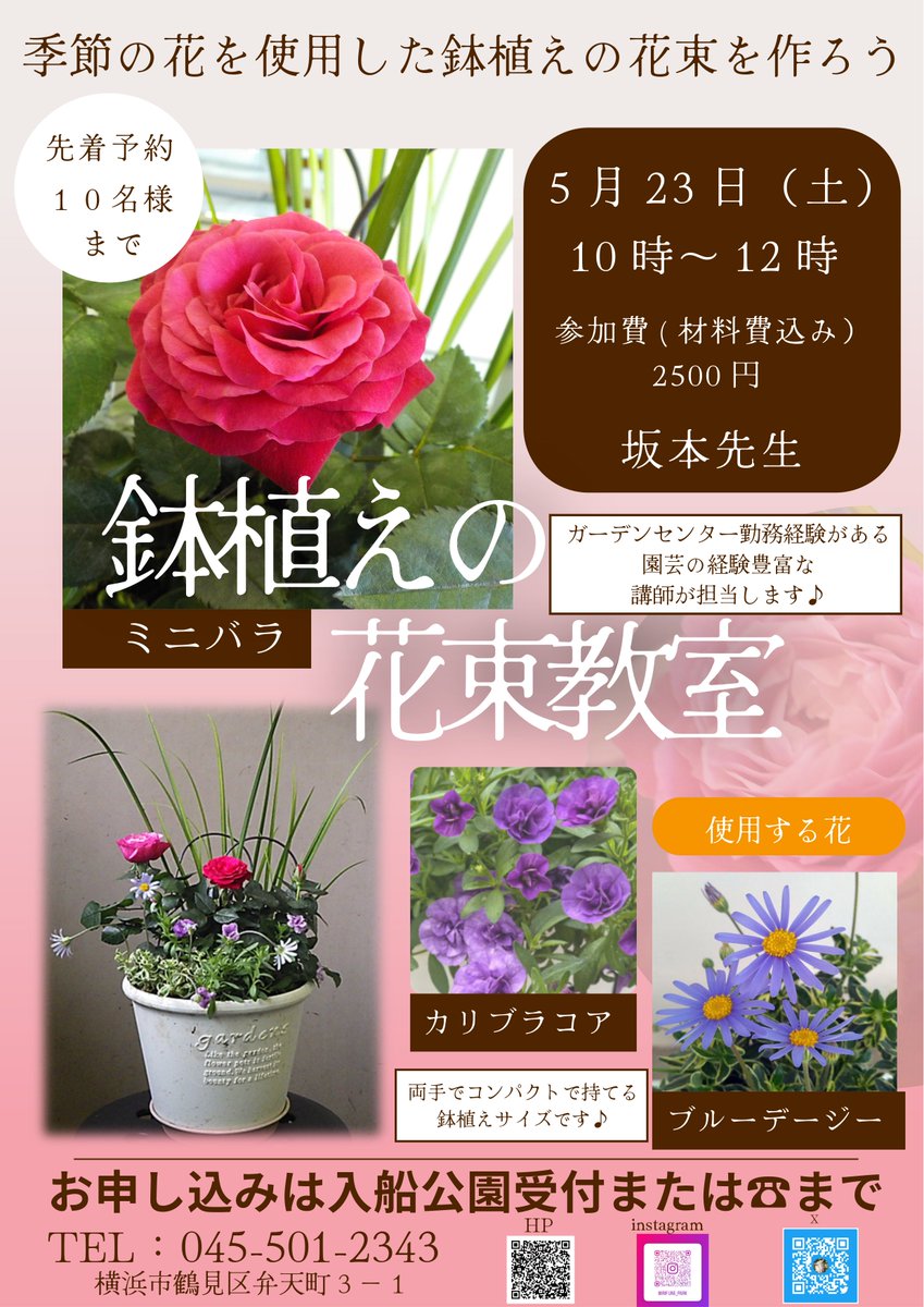 入船公園】 横浜ローズウィークが始まったね！ 山下公園ではバラが見頃