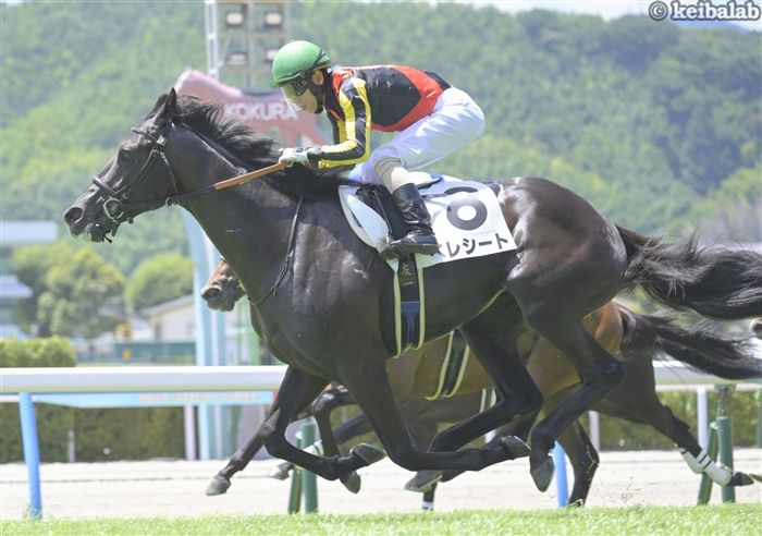 競馬ラボ tweet media