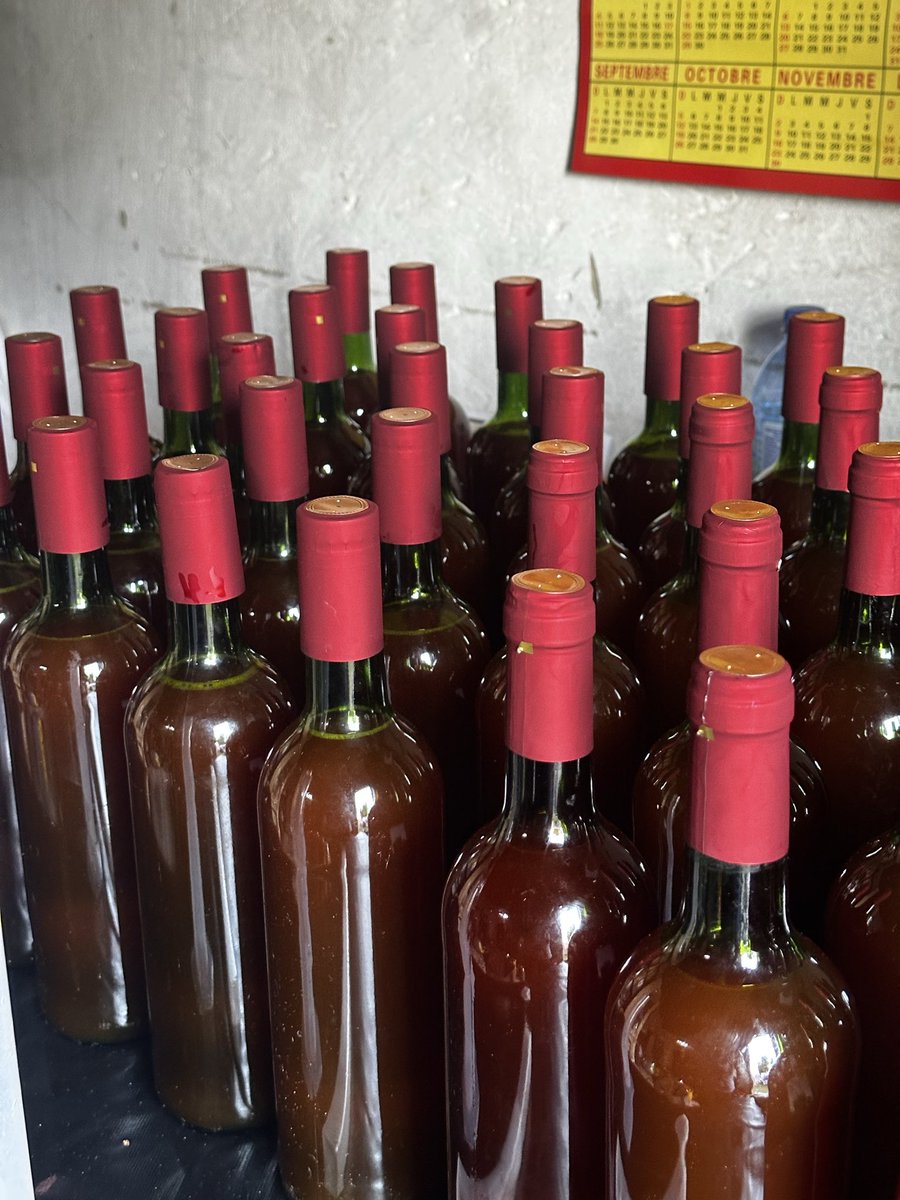 kifuma wine🍷 tweet media