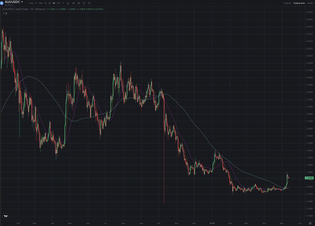 The Zgn 💎 tweet media
