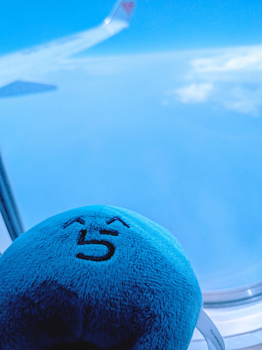 fox_wolf_0116's tweet photo. 沖縄ー〜✈️ https://t.co/hayOSyil6Q