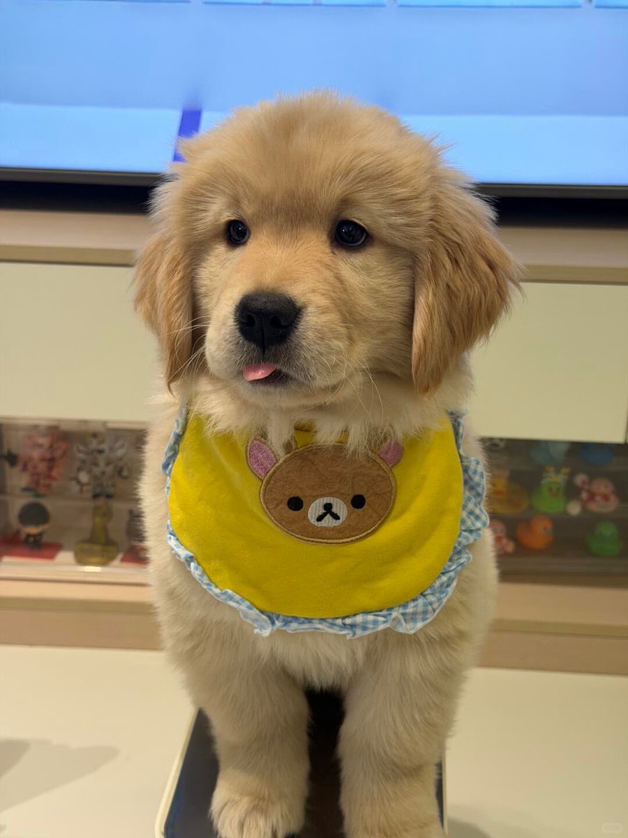 ⋆ ✿ 𝓳𝘦𝘭𝓵‎o ૮₍ ⺣̤̬ ₎ა ⋆ tweet media
