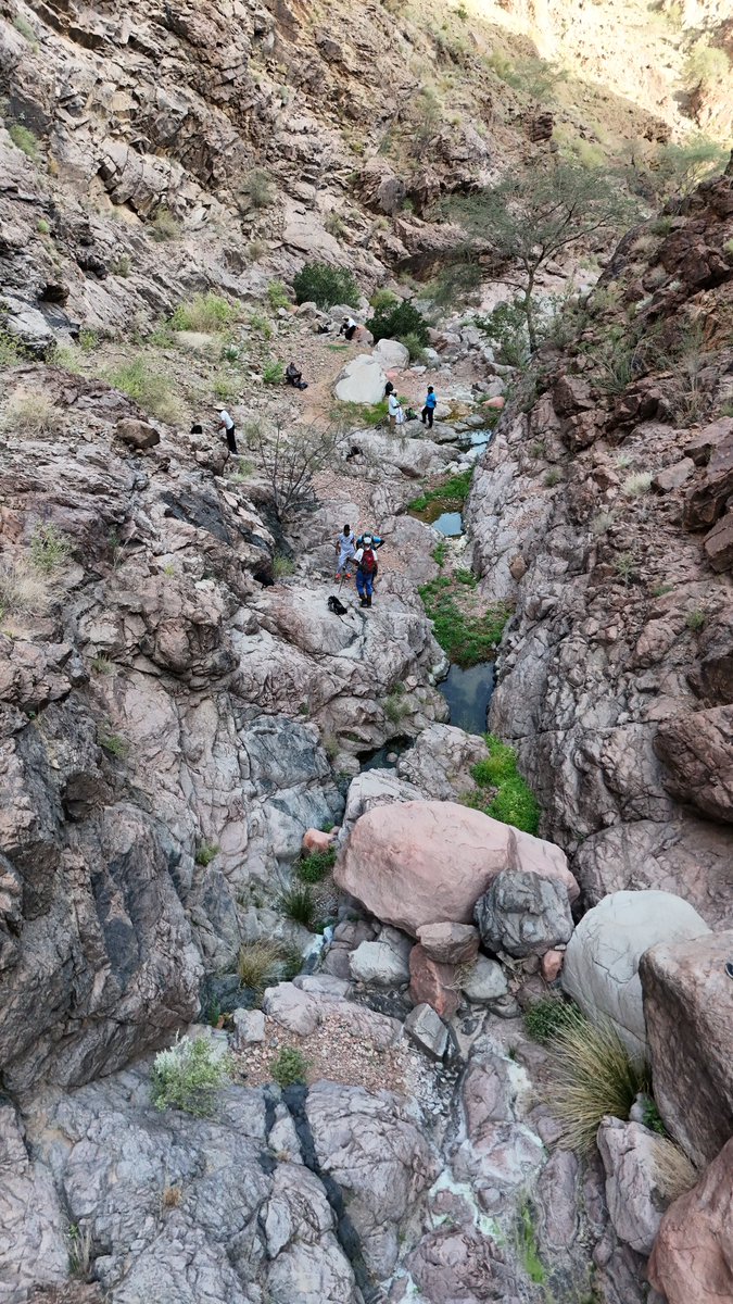 hikingtaibah's tweet photo. لا حدود لطموحنا!
من أعلى قمة ريع نوفل بـعالية الدوداء، حيث تلتقي وعورة المسار بجمال الطبيعة البكر. مغامرة جديدة خاضها فريق #هايكنج_طيبة عند مصب الشلال الشاهق من جبل ورقان 
​خطواتنا مدروسة، وهدفنا دائماً استكشاف كنوز طيبة الطيبة.

https://t.co/xzWm7o4Ix8 https://t.co/ztT8BRZ6Xd
