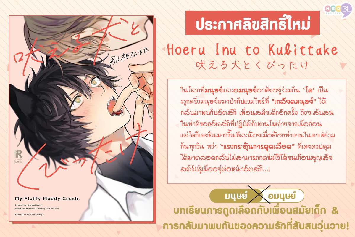 ned_comics's tweet photo. อาจารย์นายูตะคัมแบคแล้วครับ! เอาใจสายหูหมาหูแมวกับ BL แฟนตาซีเรื่องใหม่ https://t.co/aZbVzNx3OQ