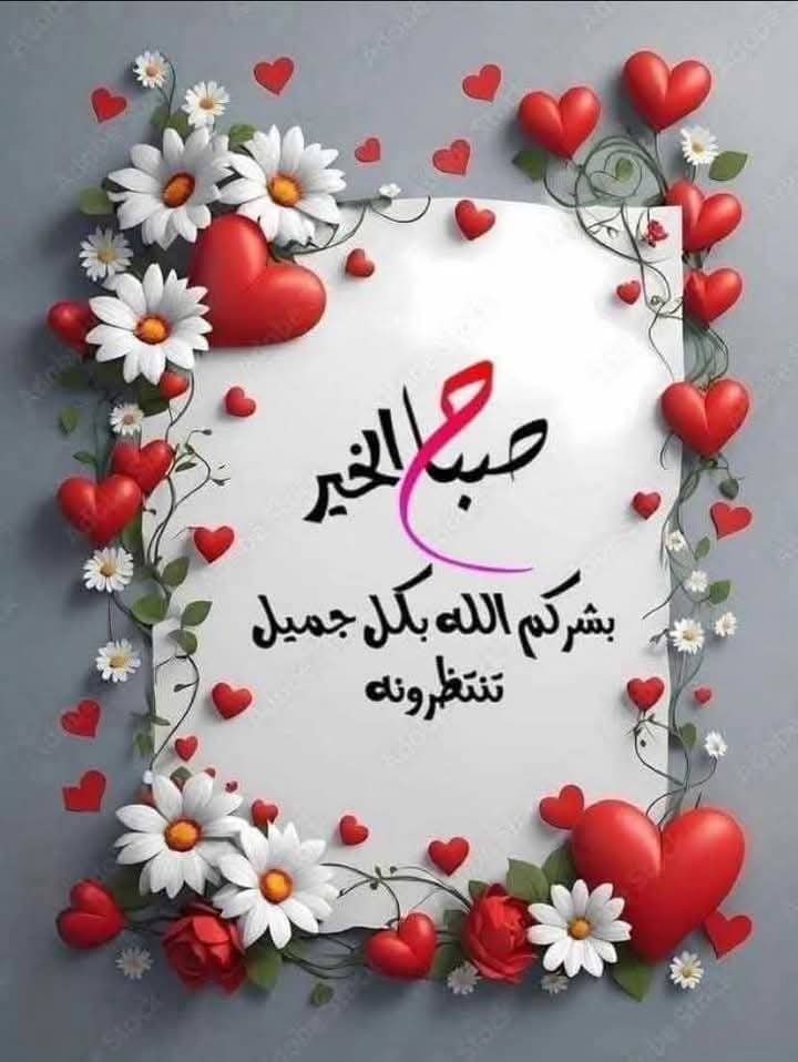 AwO2rWXLXAZhrZy's tweet photo. @AmelTsouria https://t.co/cvVwSE3ZNo