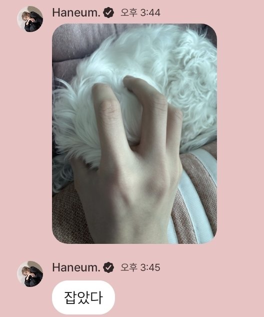 돌멩이 tweet media