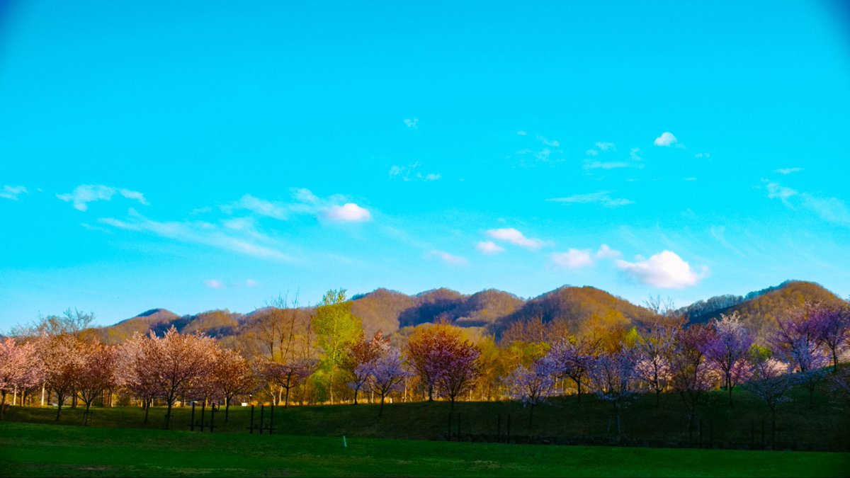 成山 剛🍥 tweet media