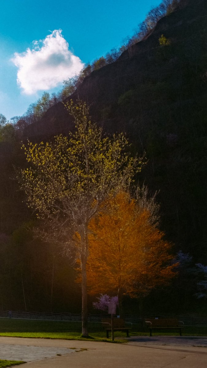 成山 剛🍥 tweet media