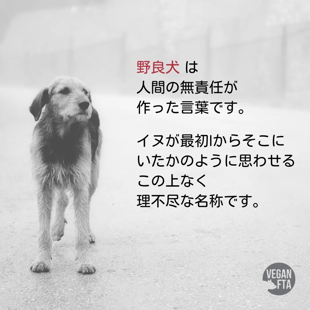 あゆあゆ tweet media
