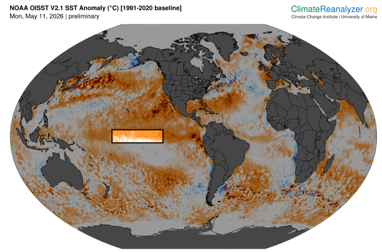 RAM_meteo's tweet photo. Nunca antes por estas fechas y con datos modernos se han visto temperaturas tan altas de la superficie del agua en la región NIÑO3.4 de Pacífico ecuatorial central.
#ElNiño
Figuras de Climate Reanalyzer https://t.co/Pv7dtR9RRH