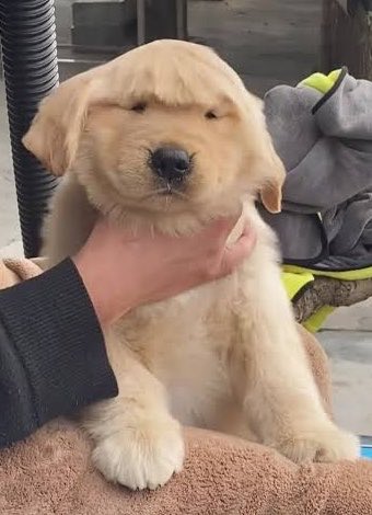 rikaww.(แม่บ้านคุณพีรวิชญ์บ๊อกๆ🤵🏼‍♀️🐶) tweet media