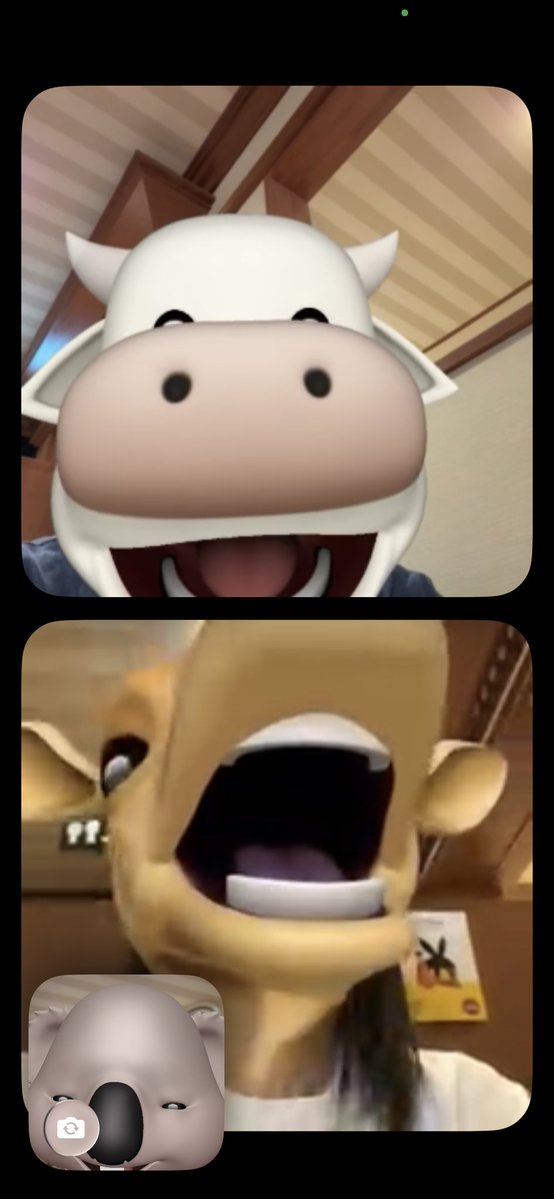 P( ◔o◔)ni tweet media