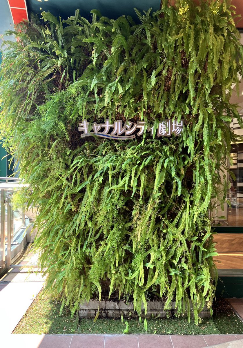 Bun0728's tweet photo. 本日初日なのですね🧡 https://t.co/i8yOuoB6V4