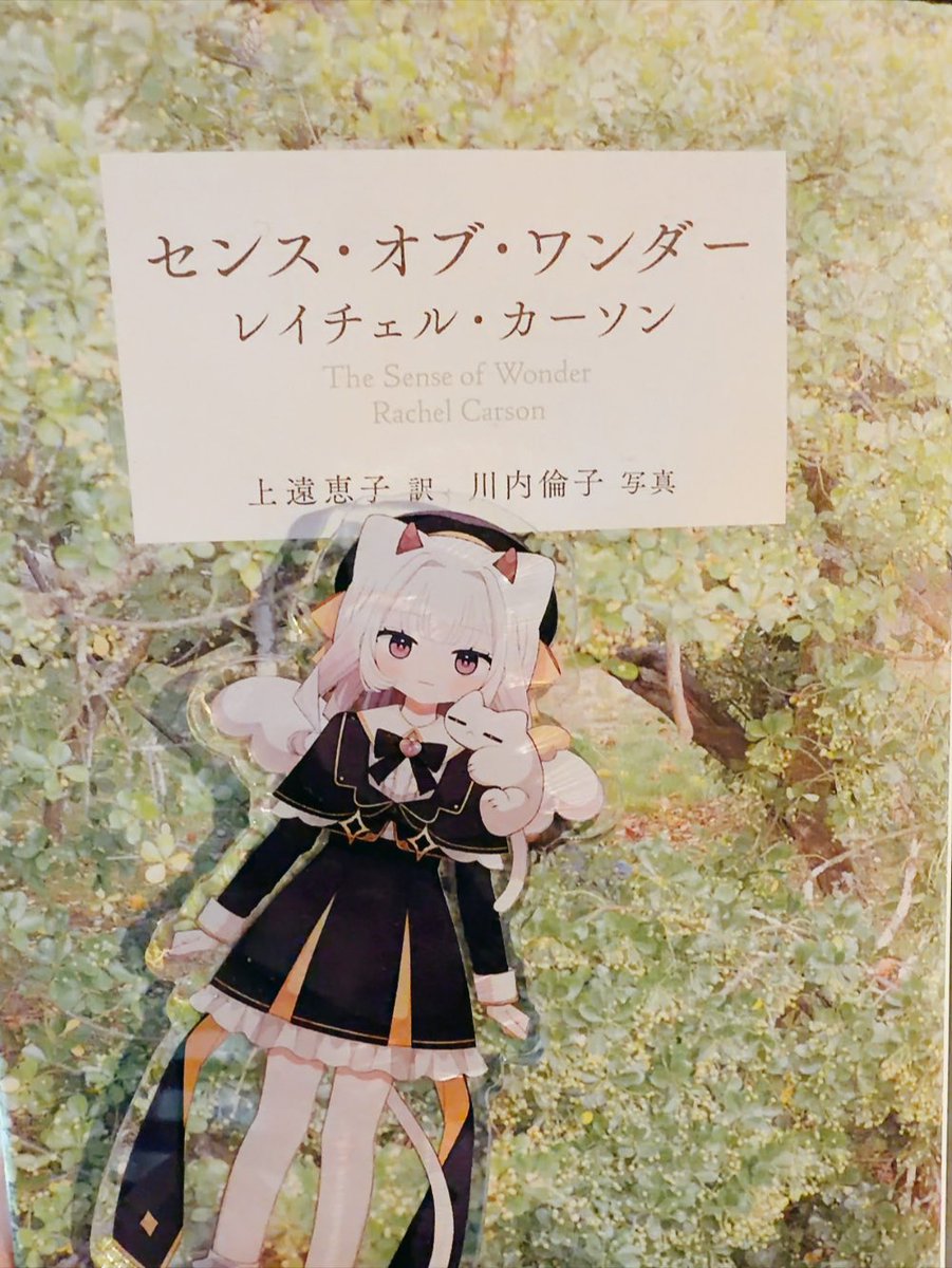 真宵メノウ¨̮⃝VTuber tweet media