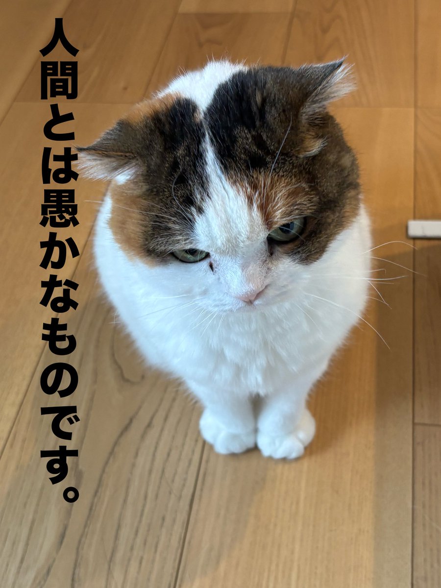 たださん tweet media