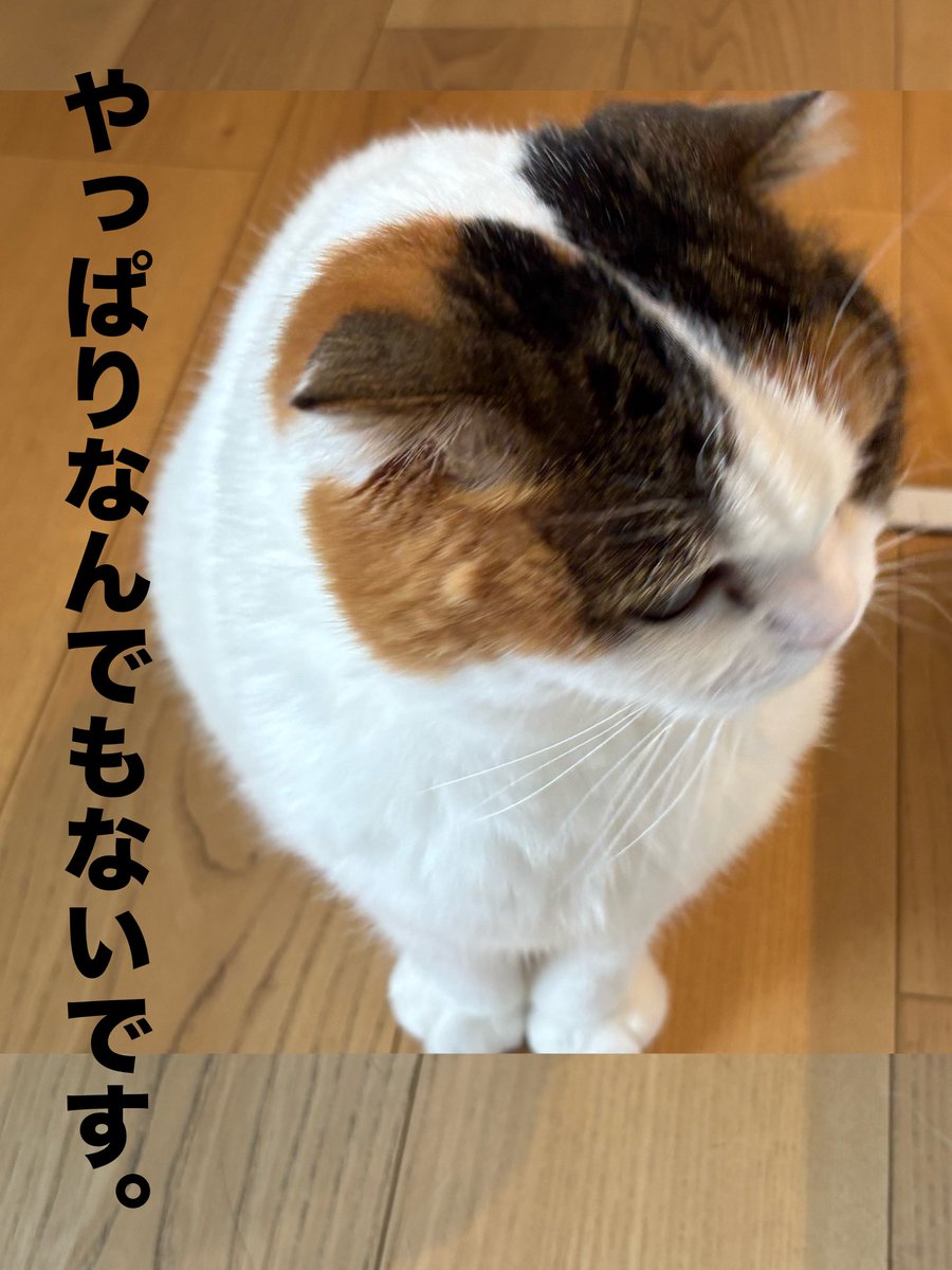 たださん tweet media