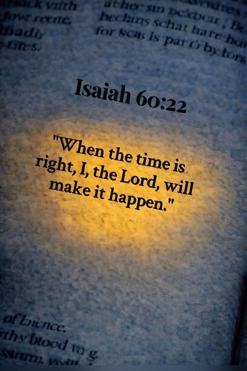 Sword⚔️&Torch🔦of God🤺🛡️📖🩺🏥 tweet media