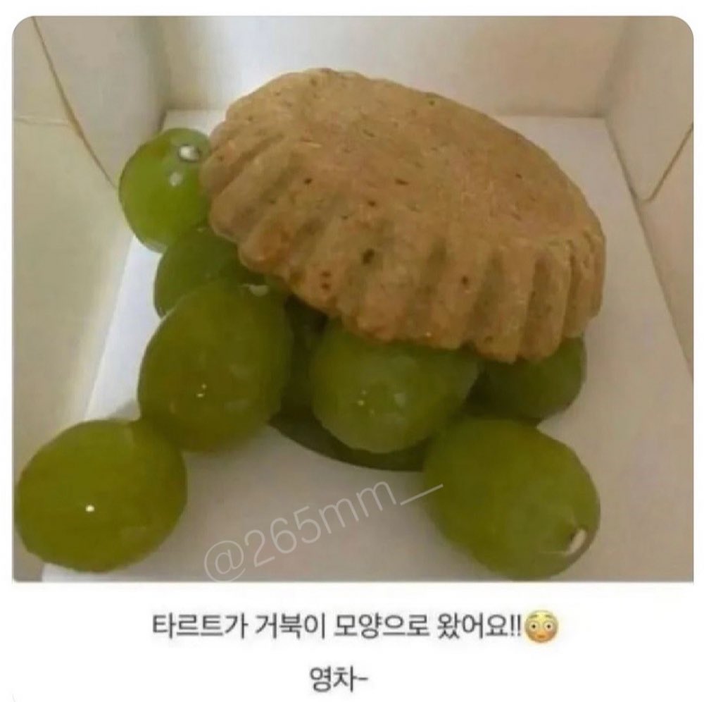 집밥채채🏠 tweet media