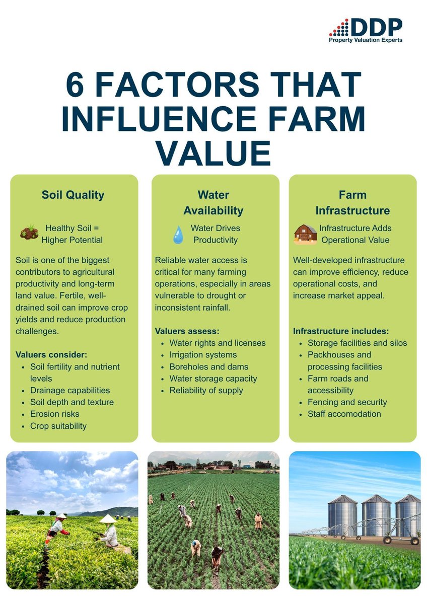 DDP_Experts's tweet photo. Learn more about DDP’s agricultural valuation services: https://t.co/VFjHsQqsna

#agriculture #land #valuations #agri #ddp https://t.co/svPJRUrv40