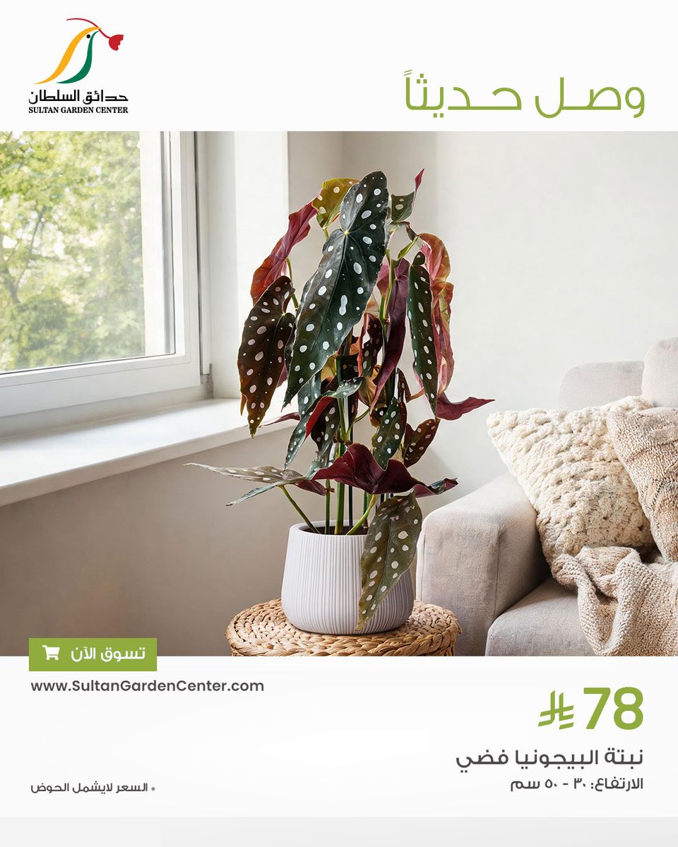 حدائق السلطان tweet media