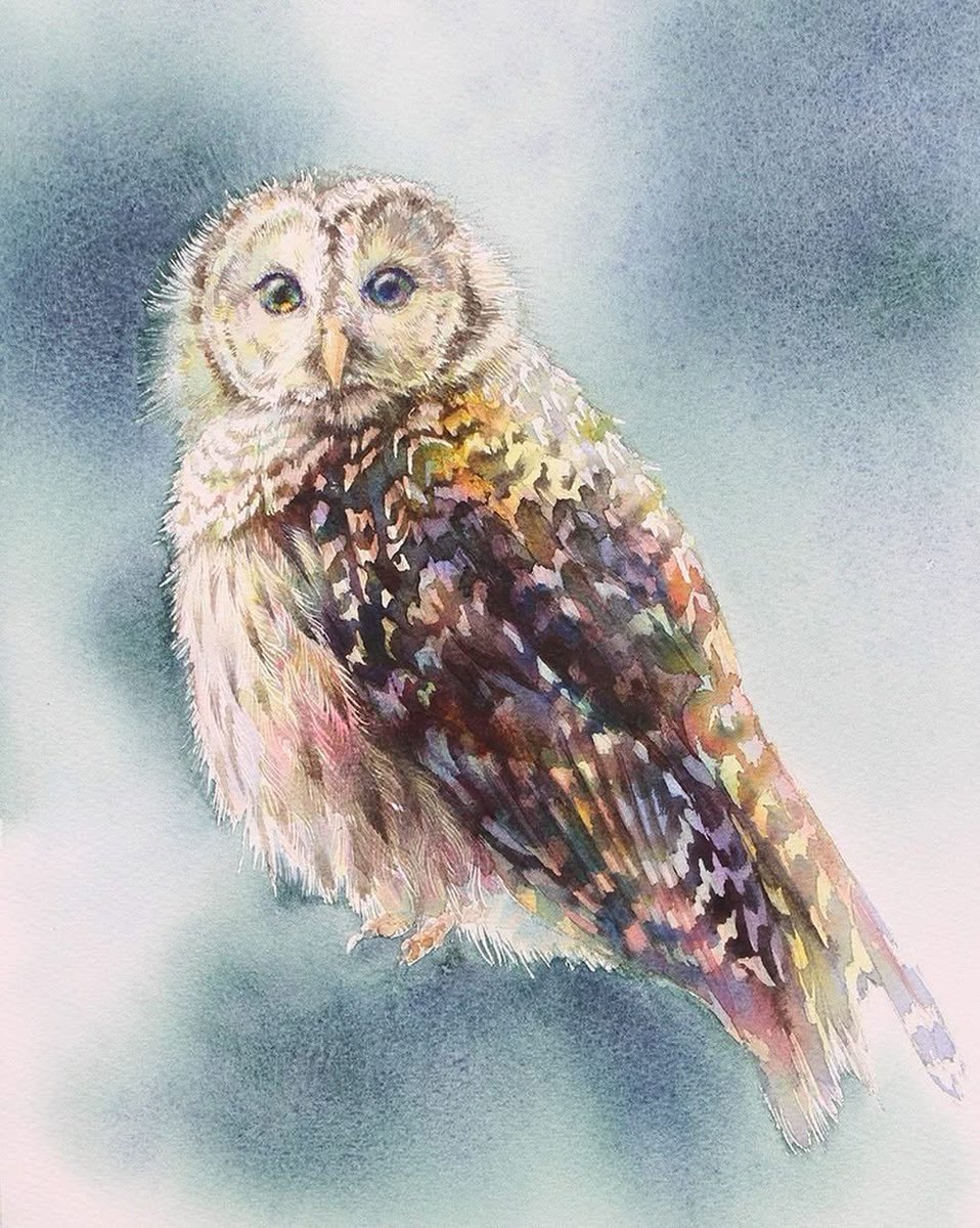 yu_grassbird's tweet photo. 「梟を描く」参加者募集のお知らせです。年３回開催の２回目夏の講座です🎐
<大阪講座>
■ 2026年6月14日(日)
<横浜講座>
■2026年7月25日(土) 会場 澤田聖徳ビル
<東京講座>満席
■2026年7月26日(日) 会場 アトリエアポロ
◆詳細、お申し込み、お問い合わせはホームページよりお願いいたします。 https://t.co/LBbduvmfRZ