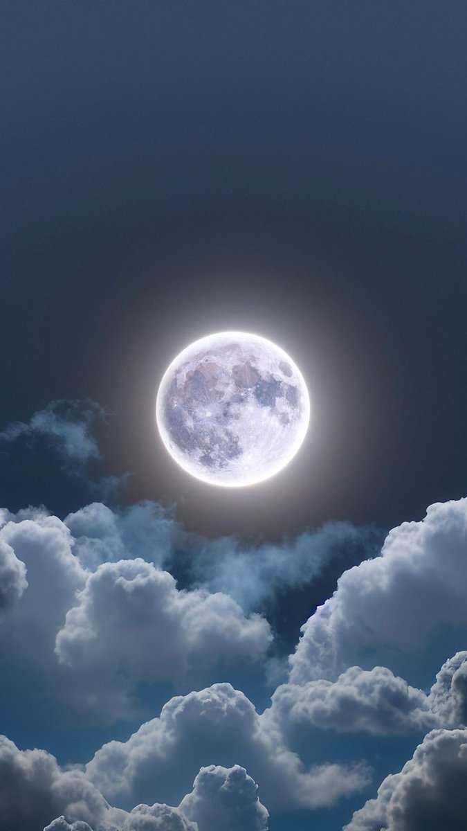 MOON (@DailyMoonX) on X