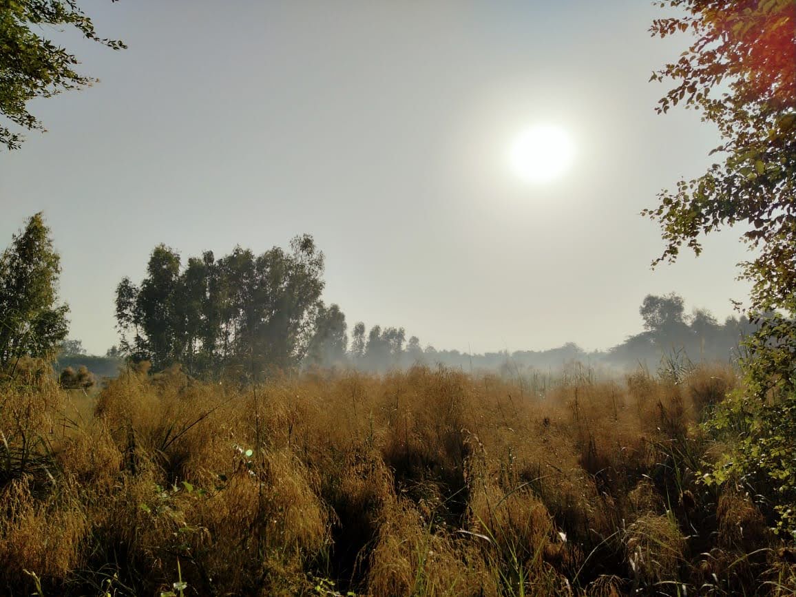devotionrot's tweet photo. I miss taking walks here https://t.co/RzTtupmyYt