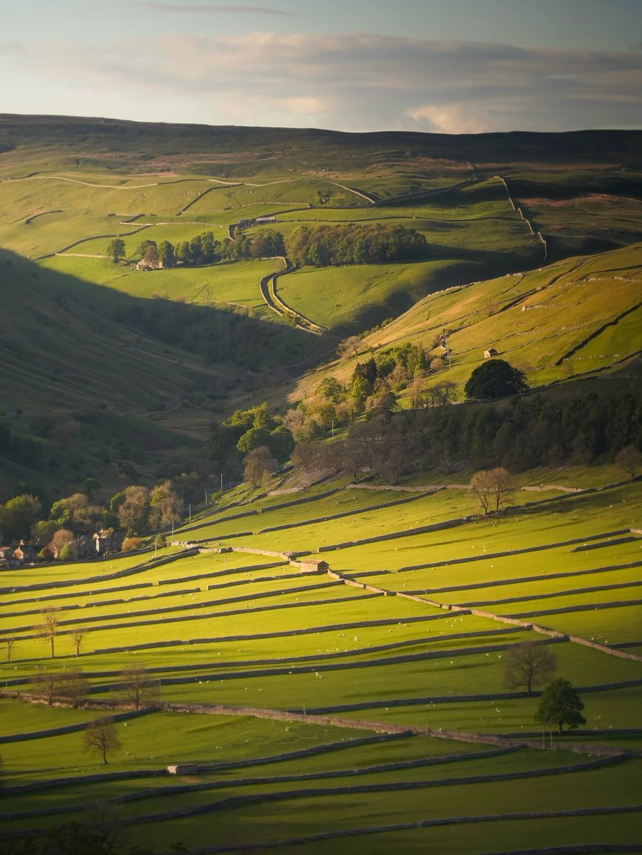 North Yorkshire tweet media