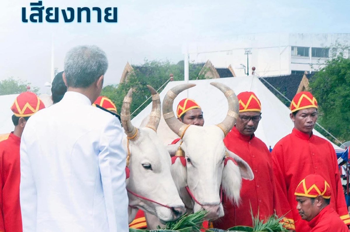 29Army291's tweet photo. " เรื่องน่ารู้เกี่ยวกับ วันพืชมงคล"
วันพืชมงคล โดยแต่ละปีจะจัดพระราชพิธีจรดพระนังคัลแรกนา
หลายคนคงคุ้นเคยกันดีกับงานพระราชพิธีพืชมงคล และพระราชพิธีจรดพระนังคัลแรกนาขวัญ ซึ่งเป็นราชประเพณีเก่าแก่โบราณ เพื่อเสริมสร้างขวัญและกำลังใจแก่เกษตรกรของชาติ
#พืชมงคล 
#พระโคเสี่ยงทาย https://t.co/mKzVnqUl3r