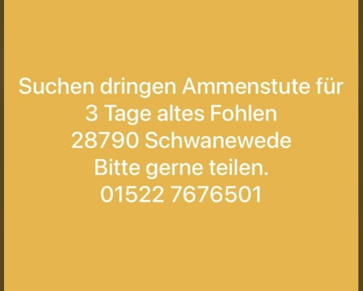 Lexa 🇩🇪 tweet media