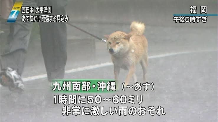 🏆それいけ★¨̮あっきー🏆【本垢】フォロバ祭り17 tweet media