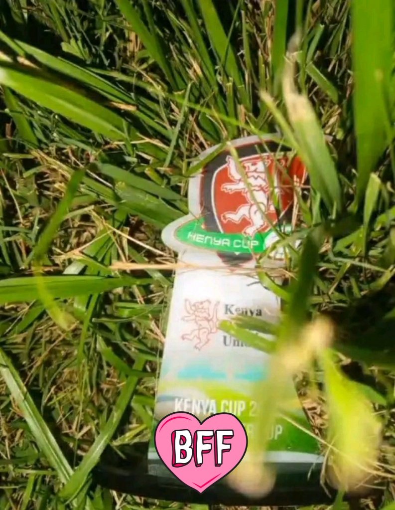 Nyanyuki tweet media
