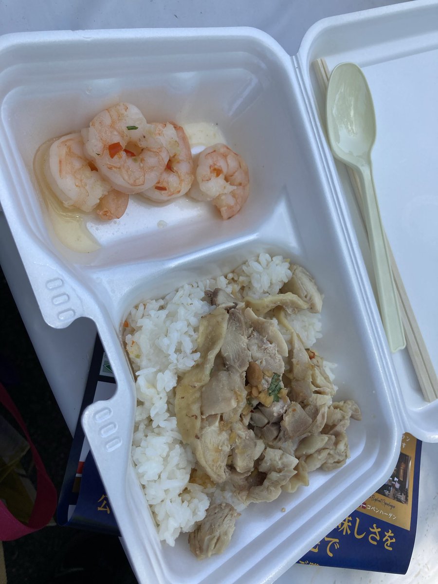 jun_opera's tweet photo. なかなか海外行けない代わりにタイフェスティバルに行ってきました。美味しいものいっぱいでした！シンハーとチャーンビールも飲んだよ🍻 https://t.co/UuauKD5kep