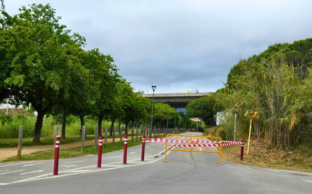 Ajuntament de Llavaneres tweet media