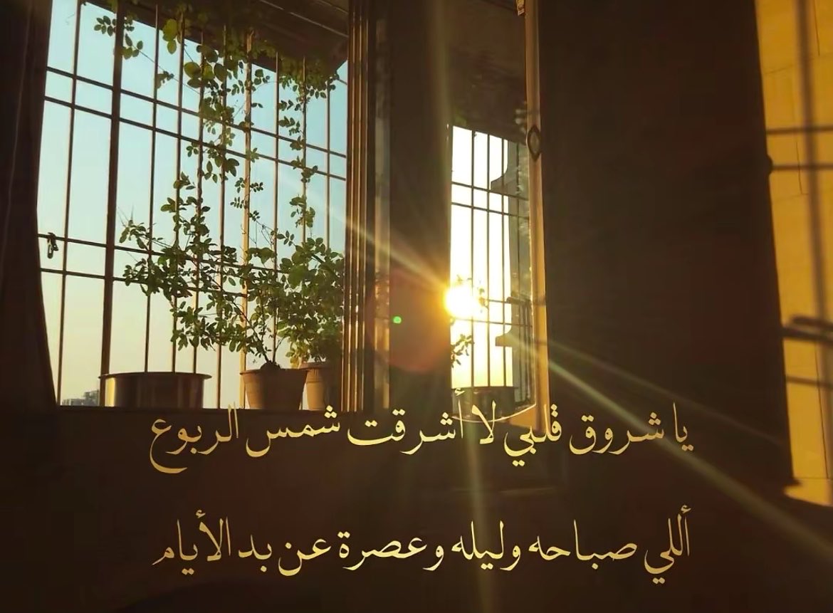 _sViola's tweet photo. الاربعاء ❣️. https://t.co/HawzZJ8HNb