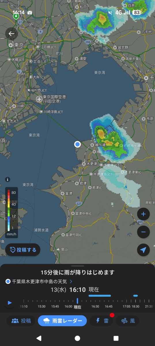 鯨のようなもの tweet media