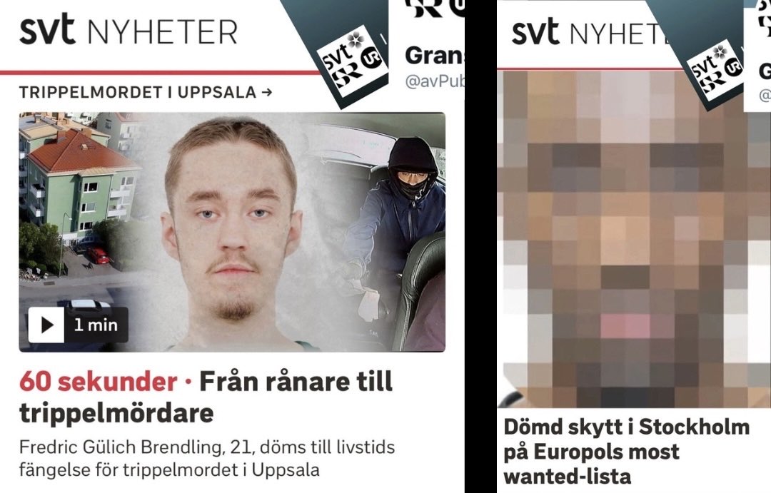 Granskning tweet media