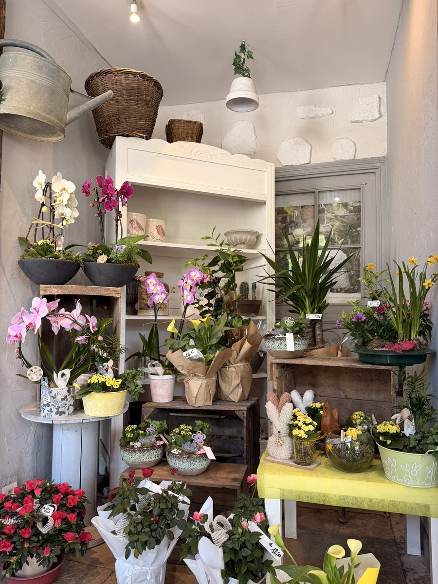 adebCosne's tweet photo. #SurLeTerrain 
Situé au 24 rue du Général Leclerc à Donzy, le fleuriste Fleurs Faber W. vous accueille avec une large sélection de fleurs et compositions pour toutes les occasions: un savoir-faire local au service de vos envies et de vos émotions. https://t.co/476bzNH9qa
