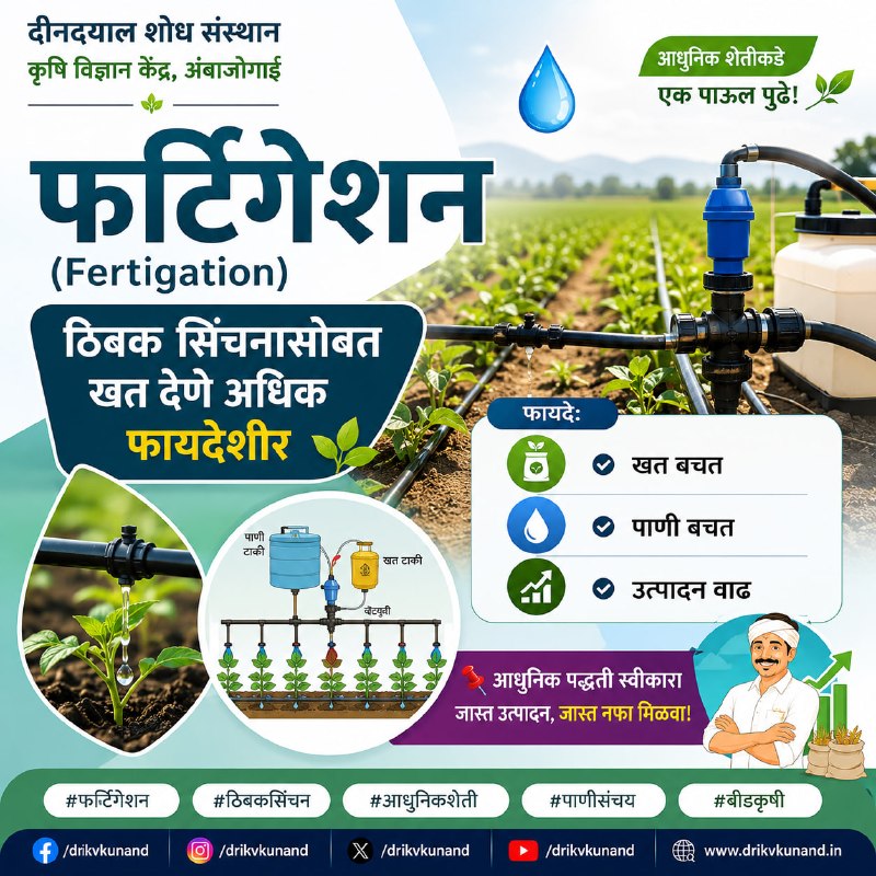 kvkbeed's tweet photo. फर्टिगेशन (Fertigation)
💧
ठिबक सिंचनासोबत खत देणे अधिक फायदेशीर
👉 फायदे:
✔️ खत बचत
✔️ पाणी बचत
✔️ उत्पादन वाढ
📌 आधुनिक पद्धती स्वीकारा
#फर्टिगेशन #ठिबकसिंचन #आधुनिकशेती #पाणीसंचय #बीडकृषी https://t.co/ZobEnuIO6D