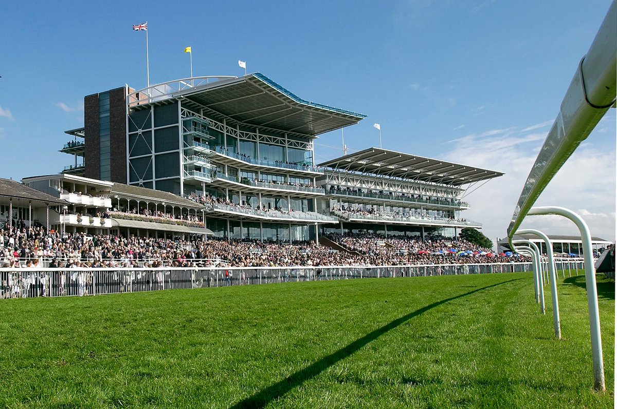 Racing Tips tweet media