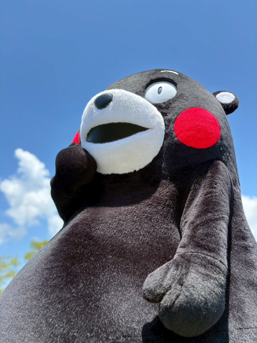 くまモン【公式】 tweet media