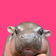 🧸TaddyNiceDay👾คิม🪽🇭🇰 tweet media